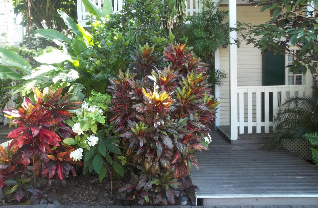 Duval House Panzió Key West Kültér fotó
